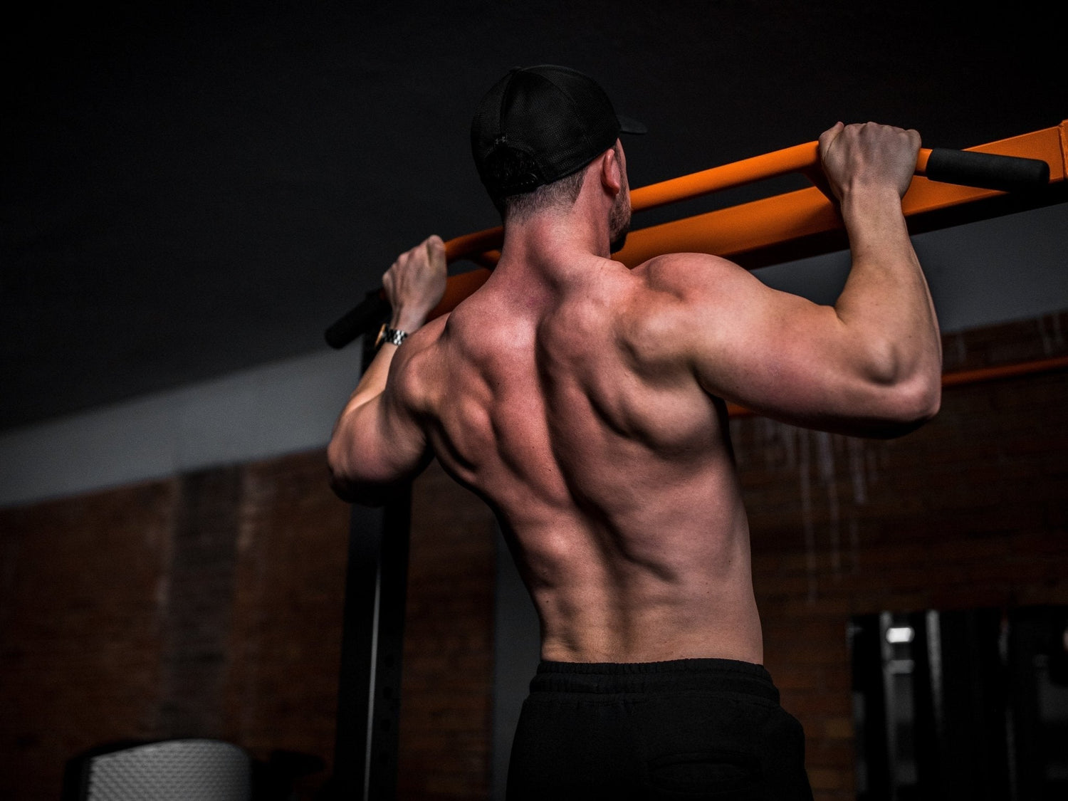 Guide d'exercices pour se muscler le dos - GREEN WHEY