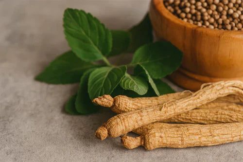 Ashwagandha et cerveau : Quel lien entre les deux ?