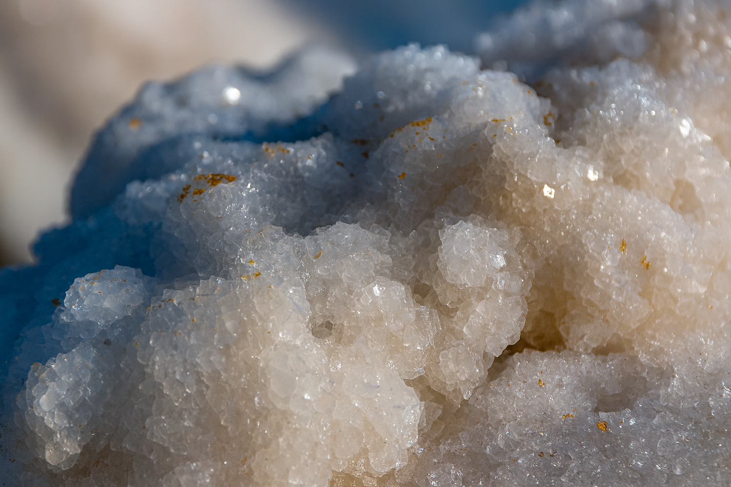 Magnésium marin : l’arnaque du siècle