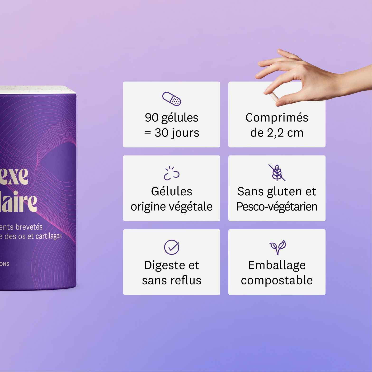 Complexe Articulaire