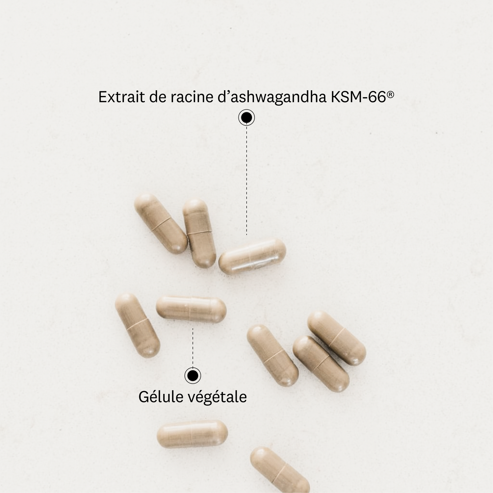 Ashwagandha bio KSM-66