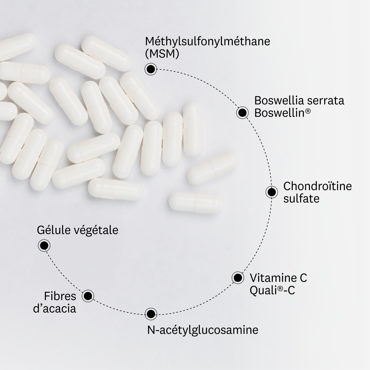 Complexe Articulaire